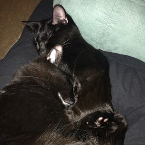 Meet your Posher, Stefanie